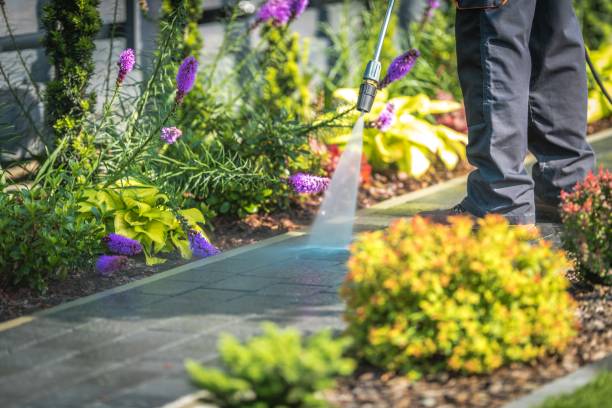 Best Patio and Deck Pressure Washing  in Muhlenberg Rk, PA
