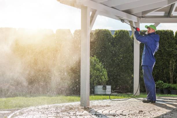 Best Soft Washing  in Muhlenberg Rk, PA